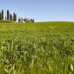 Anteprima